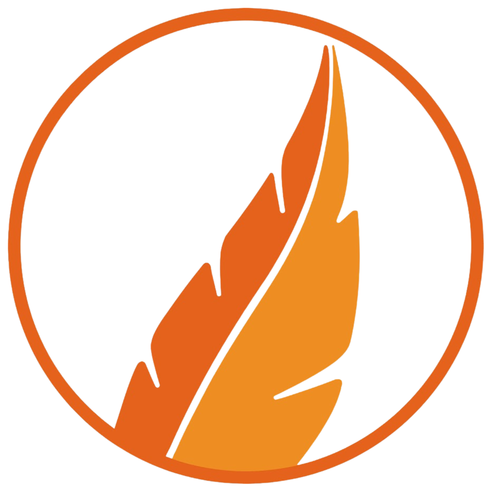 Towards Eternity - One of the largest Islamic YouTube channels